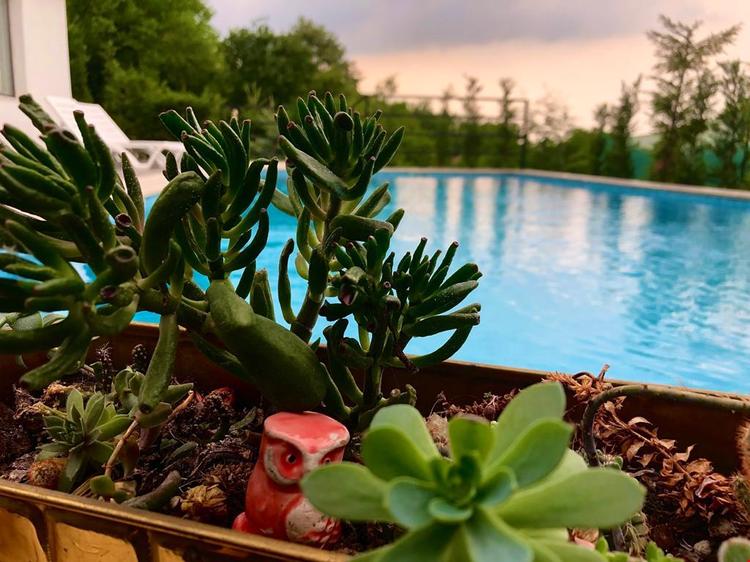 Lifetime  Villa Ressam Spanca