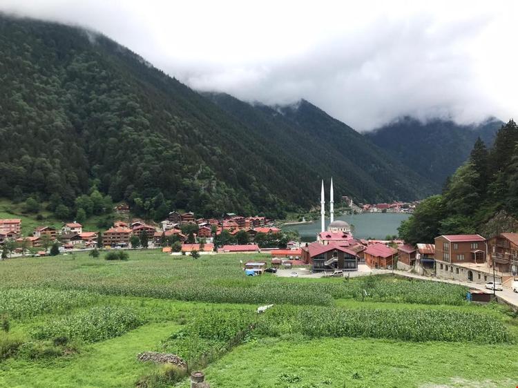 Tellioglu Ve Mericoglu Suite