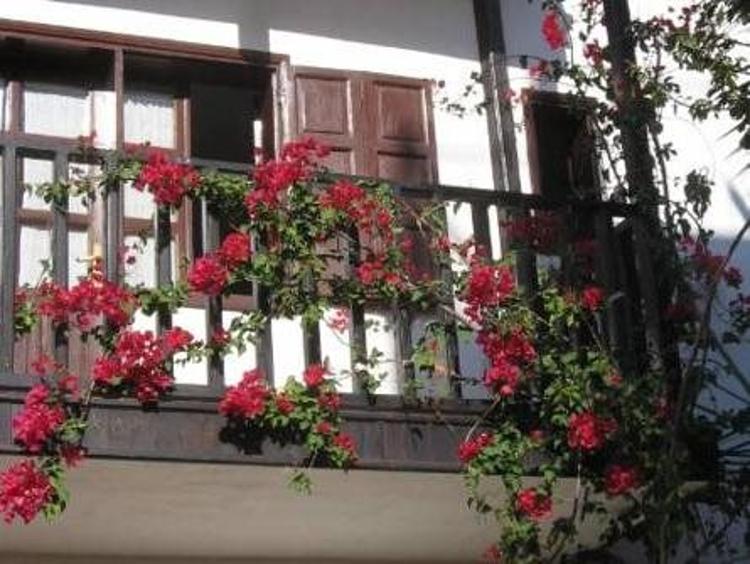 Türk Evi