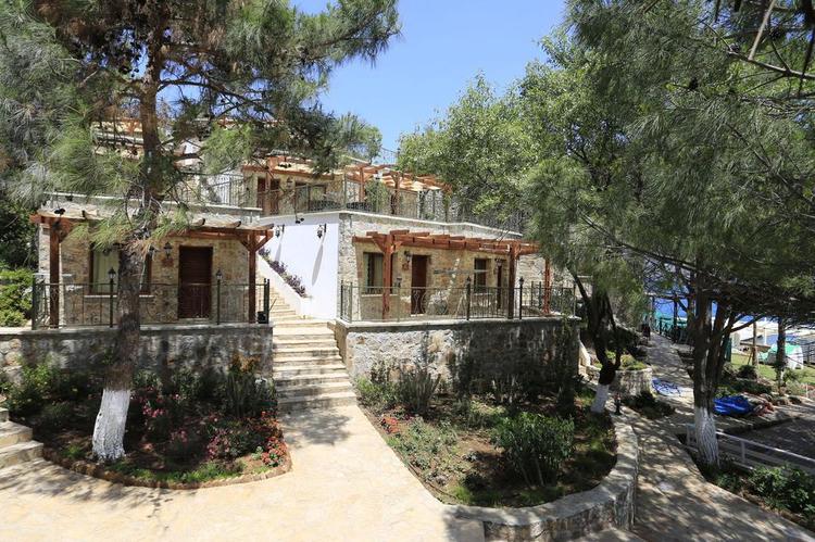 Beyaz Guvercin