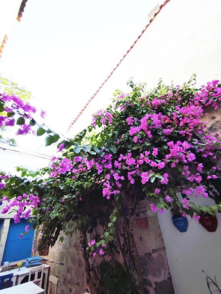 Alaçatı Bycarlos Butik Otel