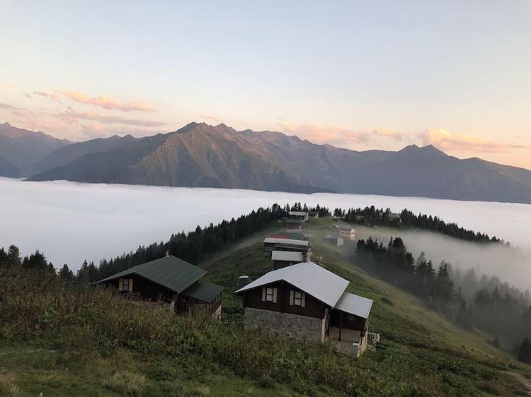 Tanevit Dag Evi