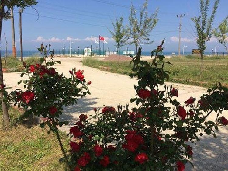 Ada Pansiyon
