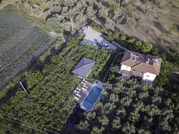 Grape Datça