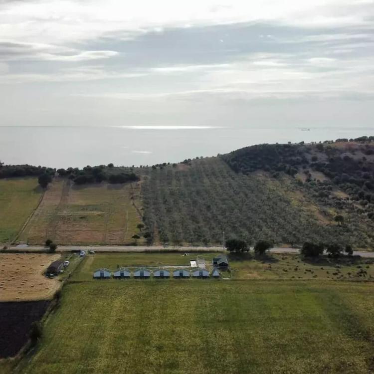 Ekom Cafe Pansiyon