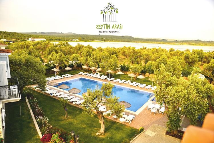 Zeytin Arasi