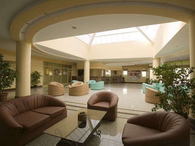 Palm D'Or