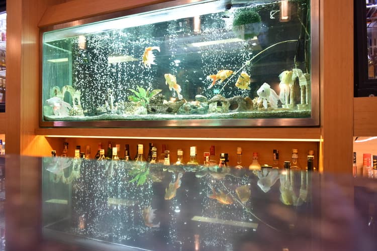 Istankoy Hotel Bodrum