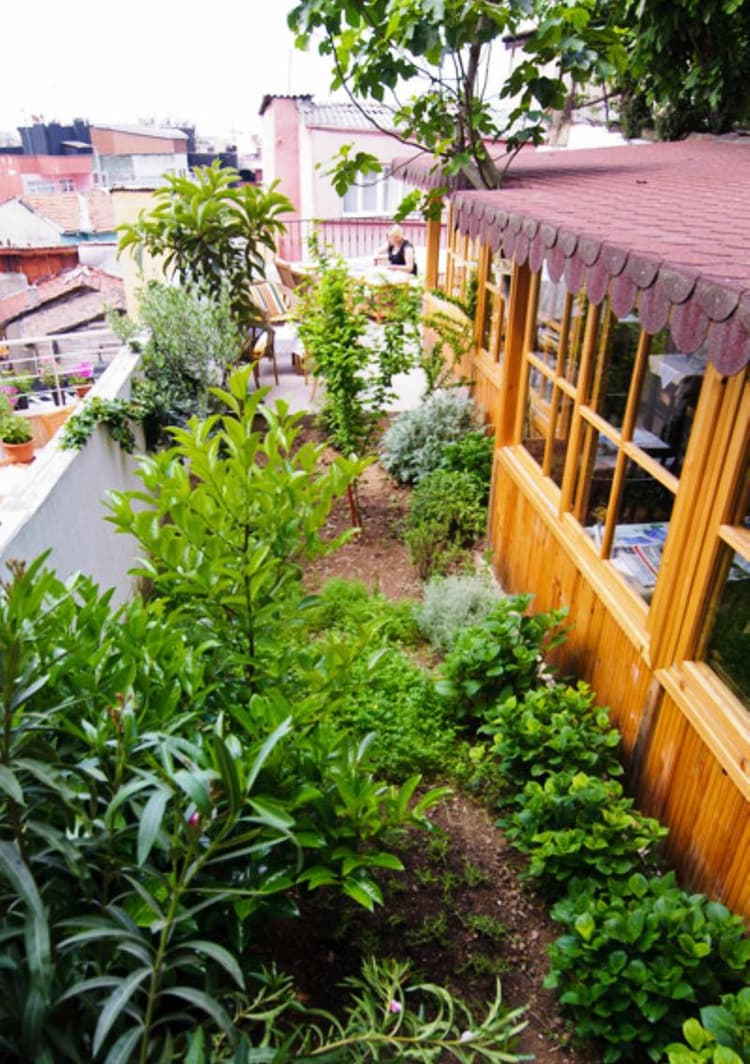 Tulip House