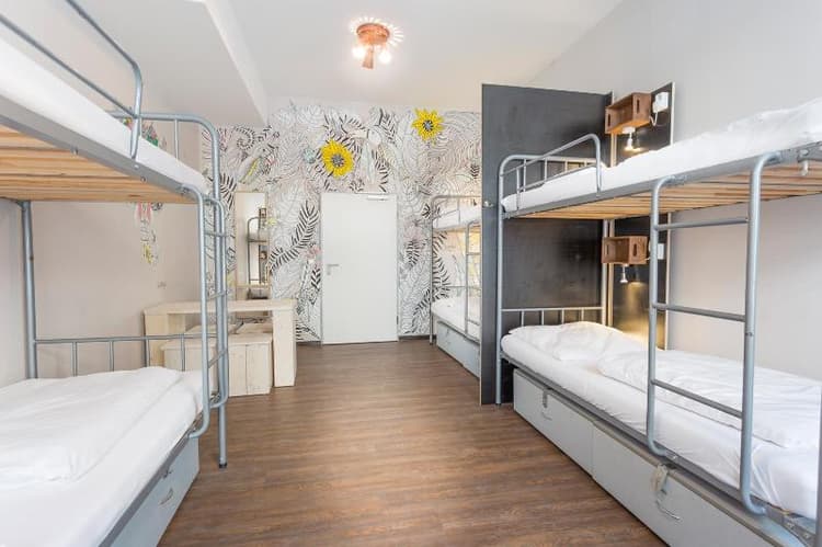 Sunflower Hostel