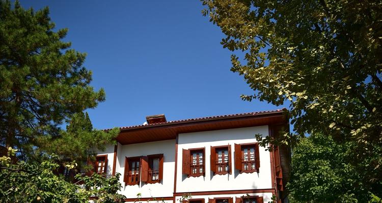 Arpacıoğlu Konak