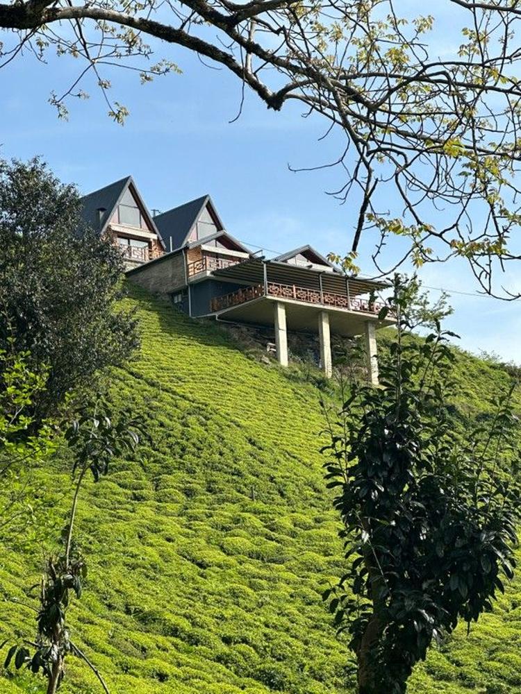 Celazeni Bungalov