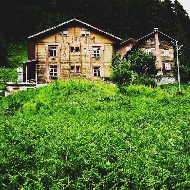 Livik Dağ Evi