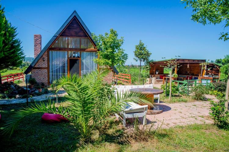 Tenora Bungalov