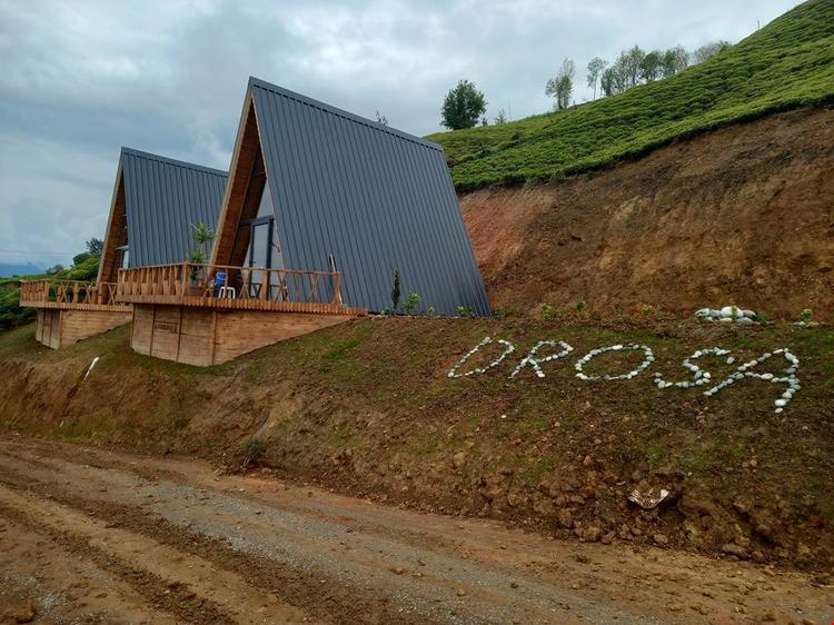 Drosa Bungalov