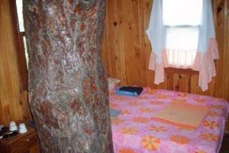 Rahmi's Tree Houses