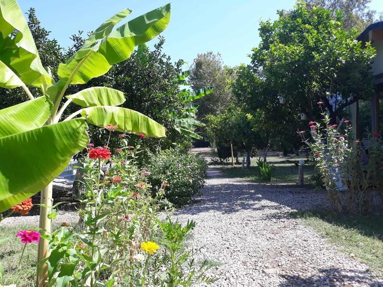 Bellerofon Camping Cirali