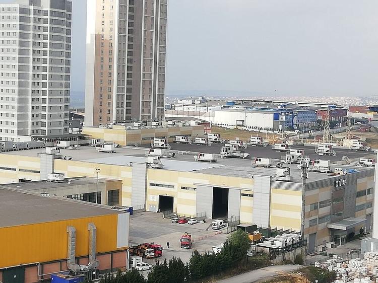 Pin Suites