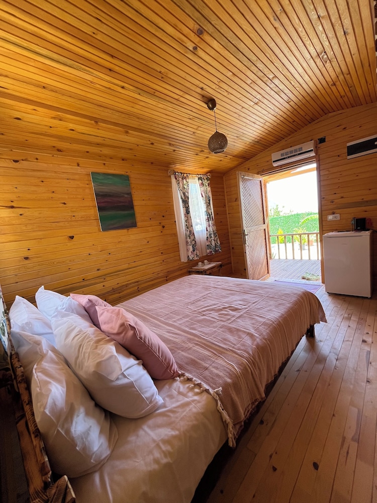 Afera Koy Evi