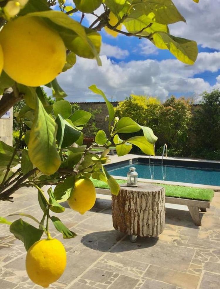 Domaine De Rennebourg