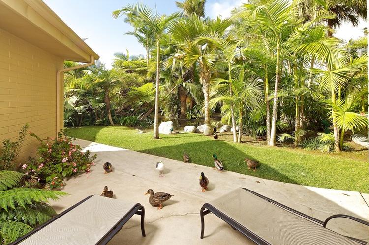 Bahia Resort