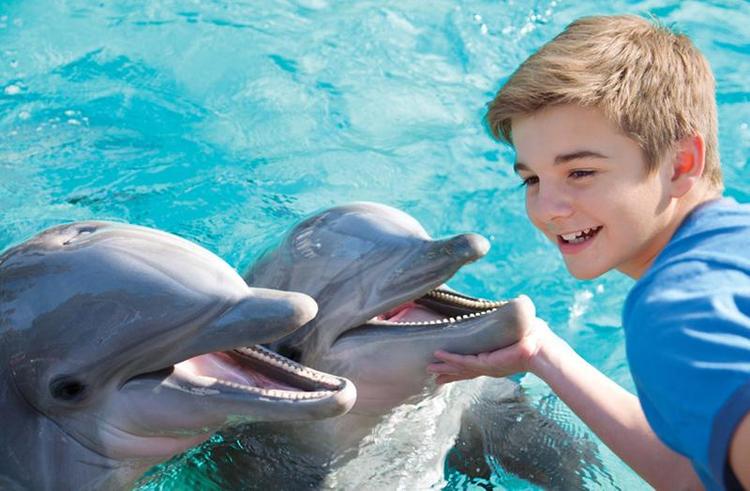 Holiday Inn Express San Diego- Sea World
