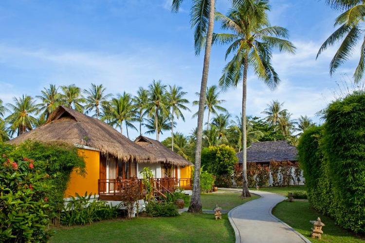 Elixir Koh Yao Yai