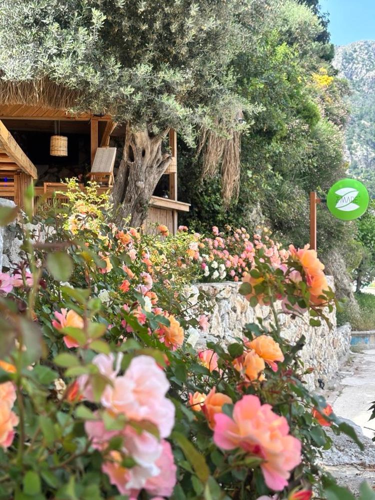 Z-villas Beach Hotel