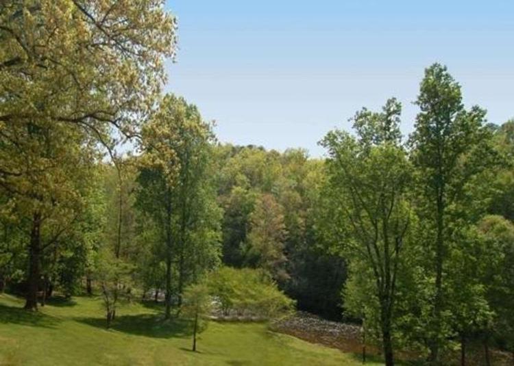 Rodeway Inn & Suites On The River