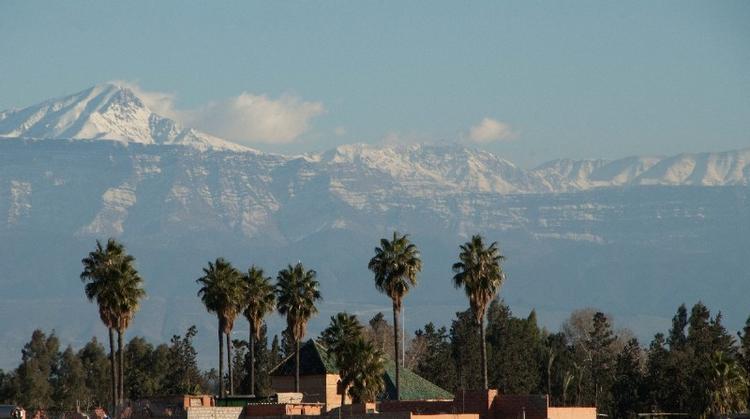 Riad Jonan