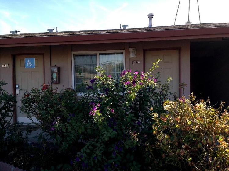 Maple Inn & Suites