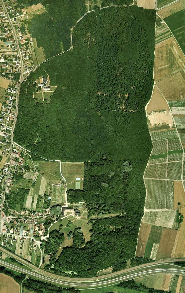 Chateau de la Bourdaisiere