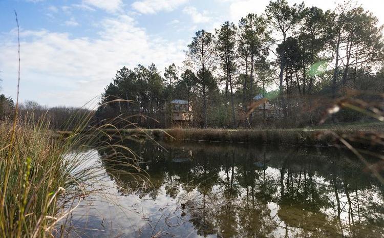 Center Parcs Le Bois aux Daims