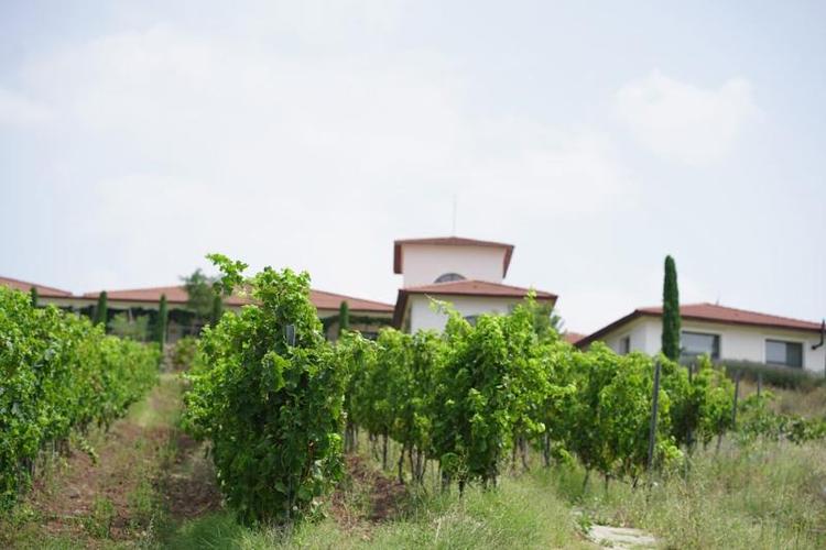 Villa Estet Bag Hotel