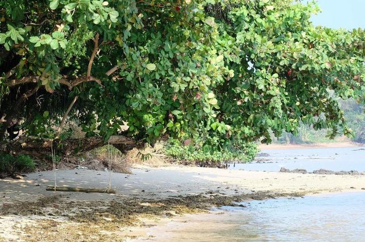 Plub Pla Koh Mak Retreat