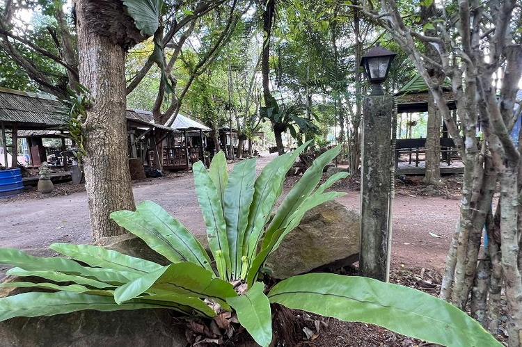 Pang Mai Resort