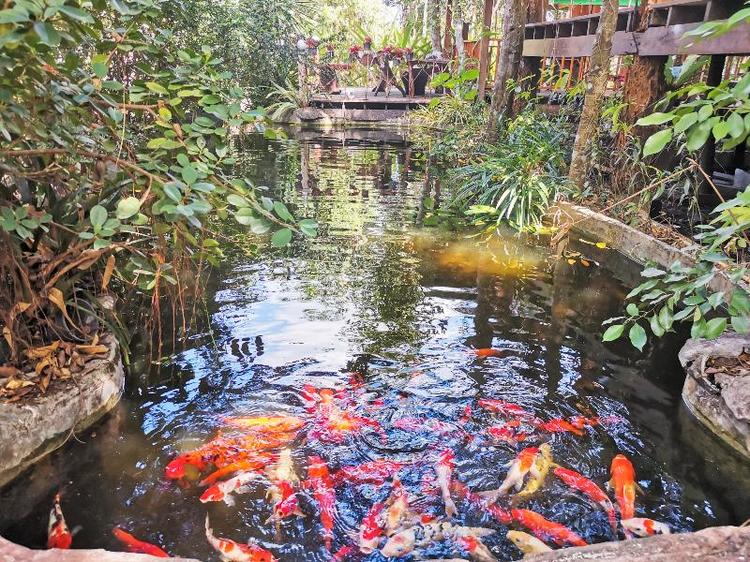 Ruen Mai Horm Resort