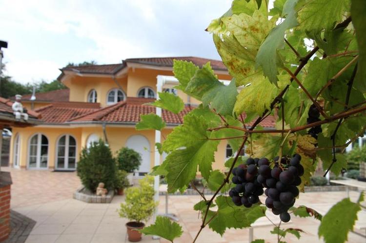 Hostellerie Bacher Gmbh