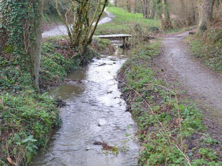 Chambre d'hôtes La Métairie à Domloup