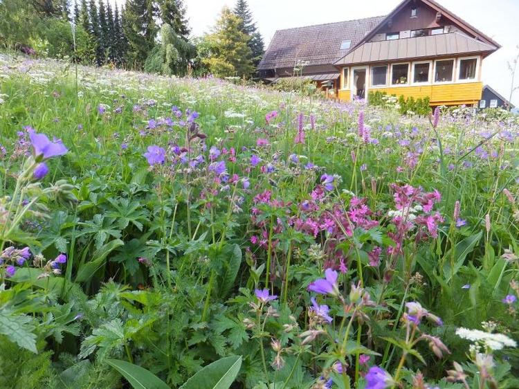Landhaus Fischer