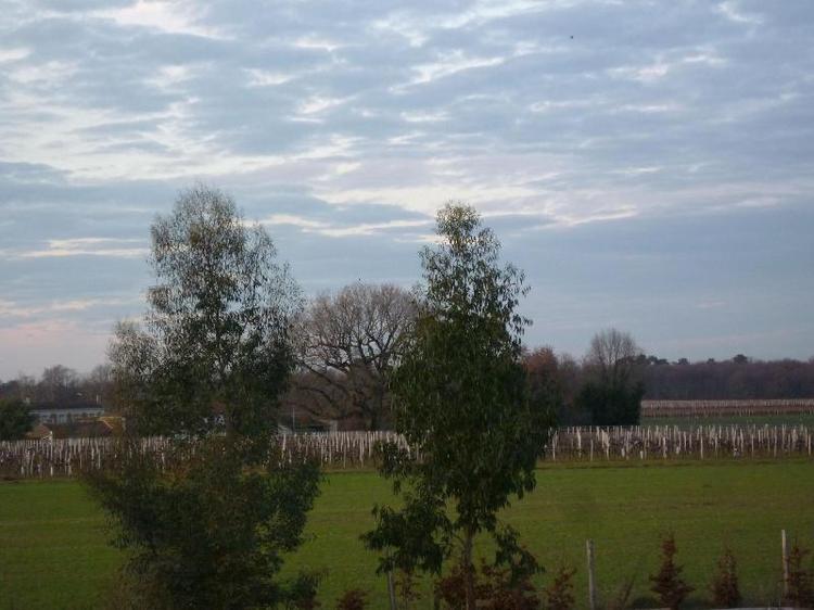 B&B avec spa La Serpauderie