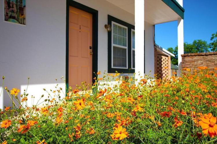 Peach Tree Inn & Suites