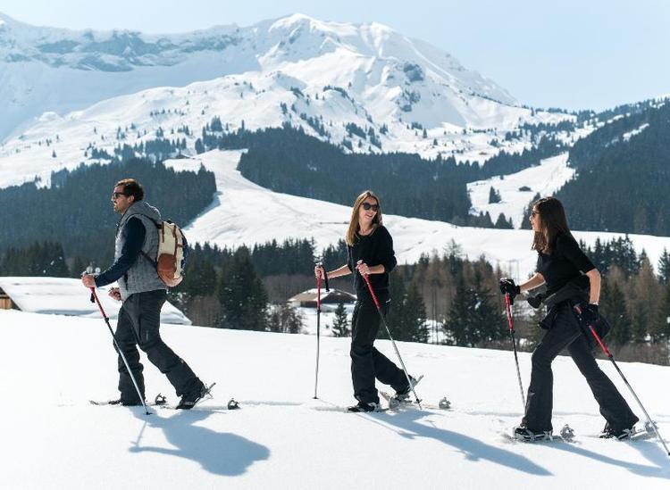 Chalet Alpen Valley, Mont-Blanc