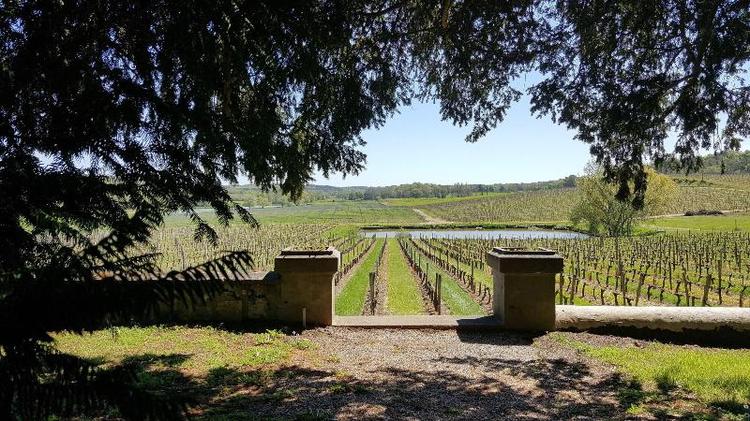 Les Secrets Chateau Pey La Tour