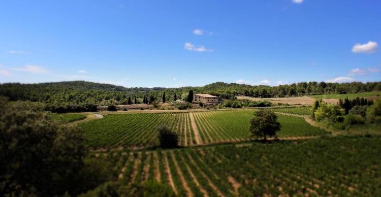 Domaine De Palatz