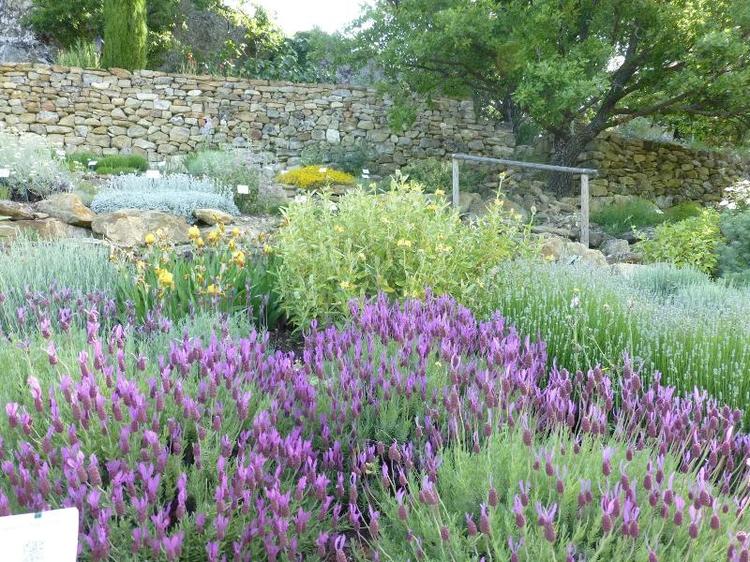 Les Jardins de L'abbaye
