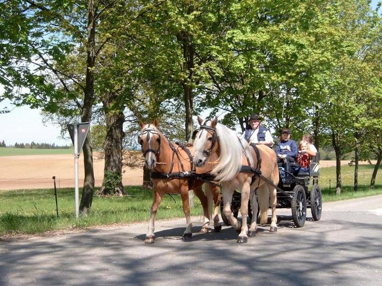 Gasthof Zur Post