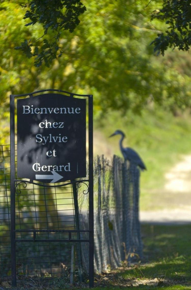 Domaine De La Cour