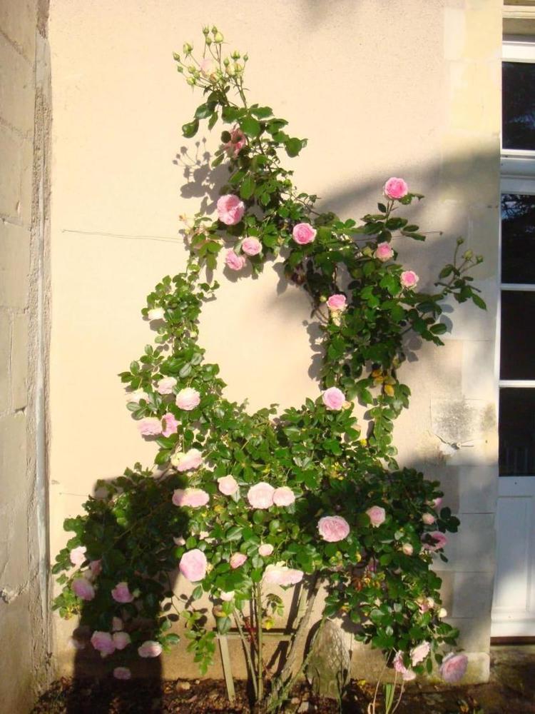 Manoir d'Orbe