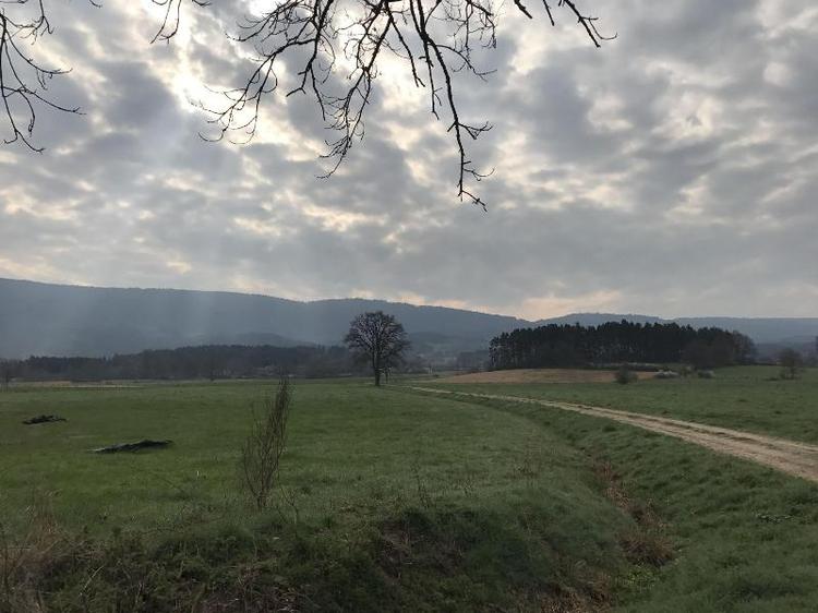 Domaine La Reveille
